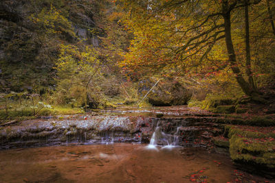 Scenic view of waterfall in forest during autumn