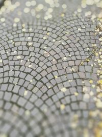 Full frame shot of paving stone