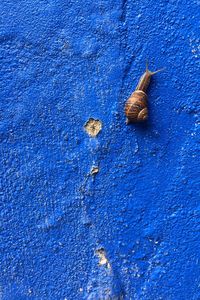 Full frame shot of blue wall