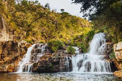 Scenic view of waterfall in forest