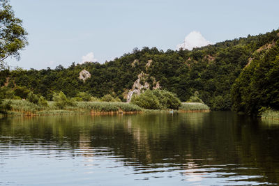 Scenic view of lake in forest against sky