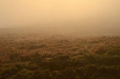 Aerial view of landscape against sky during sunset