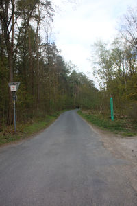 Empty road amidst trees in forest against sky