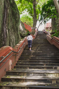 Rear view of man on staircase