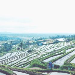 View of rural landscape