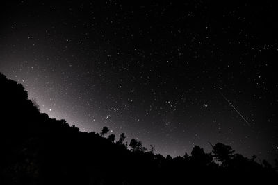 Low angle view of silhouette trees against sky at night