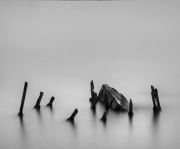 Row of boats on sea against white background