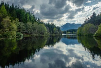 Scenic view of lake by trees against sky