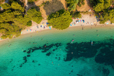 Group of people on the beach