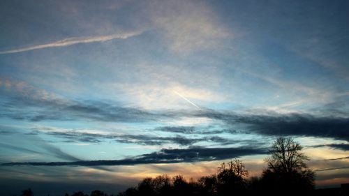 Low angle view of silhouette trees against sky