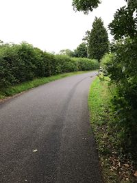 Road by trees against clear sky
