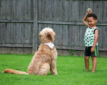 Cute boy playing with dog