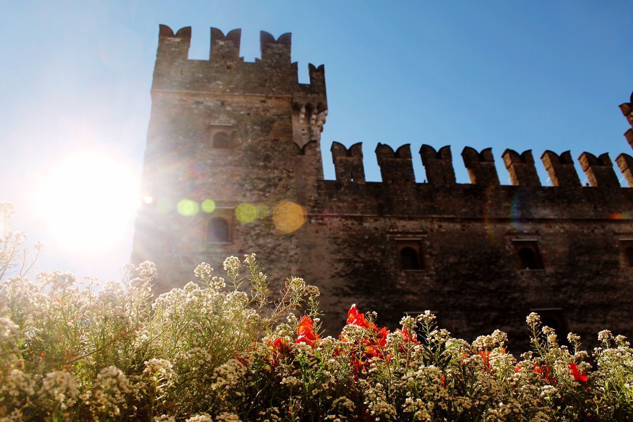 LOW ANGLE VIEW OF FLOWERING PLANTS BY BUILDINGS AGAINST SKY