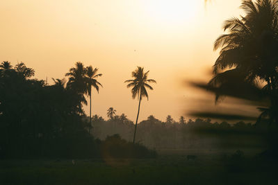 Silhouette palm trees against sky during sunset
