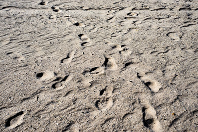 High angle view of footprints on sand at beach