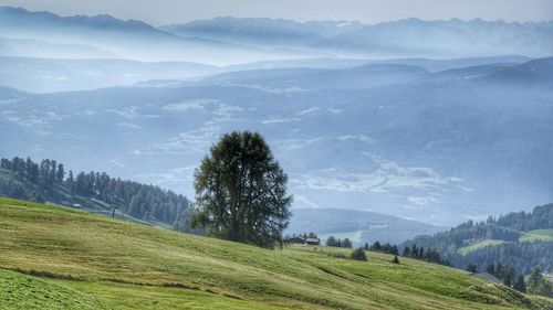 Scenic view of landscape against sky