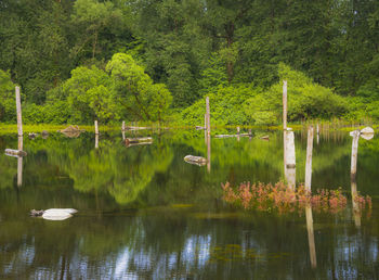 Scenic view of lake