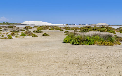 Scenic view of landscape against clear blue sky