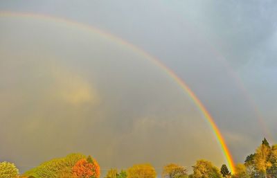 Rainbow over trees against cloudy sky