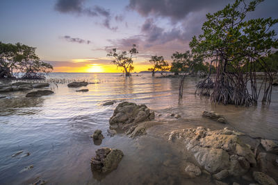 Scenic view of sea against sky during sunset