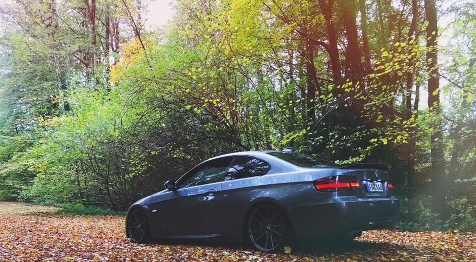 tree, car, motor vehicle, mode of transportation, plant, transportation, land vehicle, land, day, nature, no people, forest, growth, autumn, outdoors, plant part, leaf, woodland, beauty in nature, stationary, change