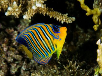 Close up of multi colored wall