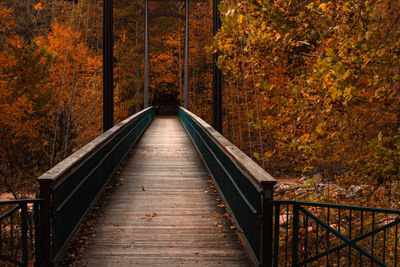 Footbridge amidst trees in forest during autumn