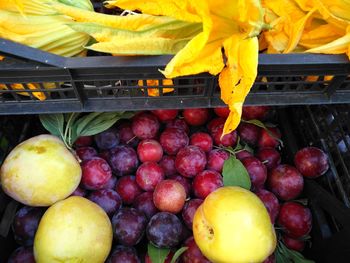 High angle view of fruits for sale at market stall