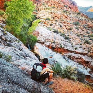 Rear view of man sitting on rock