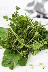 Close-up of chopped vegetables in plate