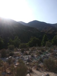 Scenic view of mountains against clear sky