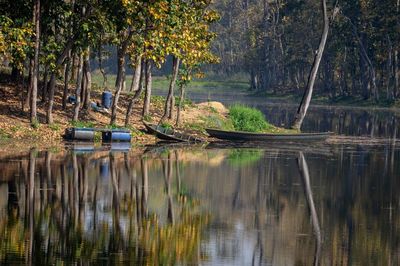 Scenic view of lake in forest