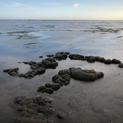 Rocks on beach against sky