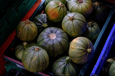 Close-up of pumpkin