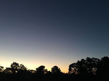 Low angle view of silhouette trees against clear sky at sunset