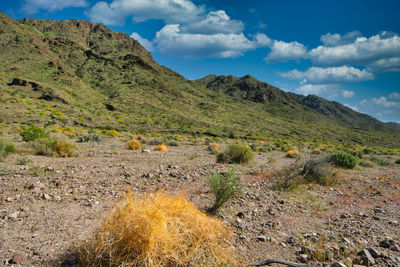 Scenic view of landscape against sky