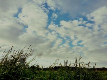 Scenic view of field against cloudy sky