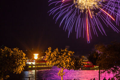 Firework display over river against sky at night