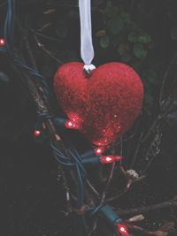 Close-up of heart shape hanging on tree