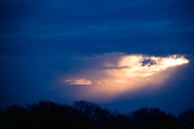 Low angle view of silhouette trees against sky