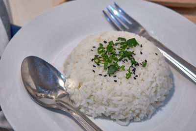 Rice serving on the white plate