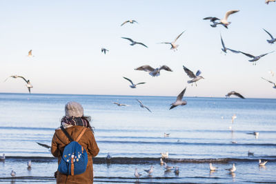 Birds flying over sea against sky