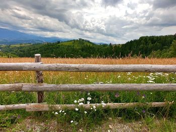 Scenic view of field against sky