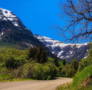 Scenic view of forest against blue sky