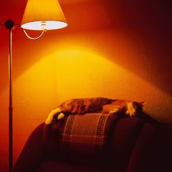 Man relaxing on sofa against illuminated wall