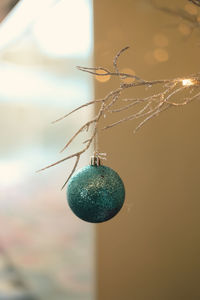 Close-up of christmas decorations hanging on tree