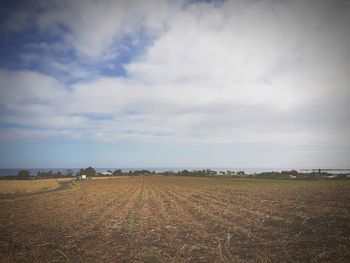 Scenic view of agricultural field against sky