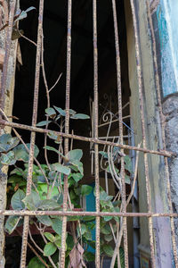 Full frame shot of spider web in cage