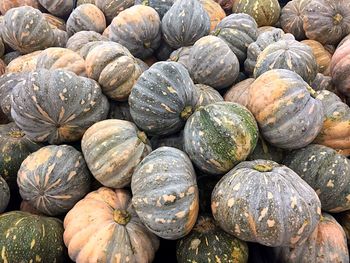 Full frame shot of pumpkins at market