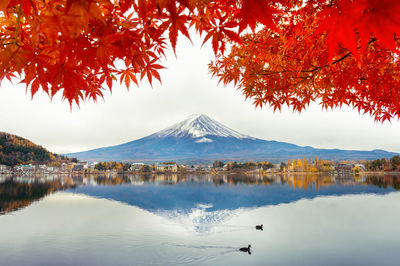 Scenic view of lake kawaguchiko below autumn leaves against mt fuji